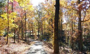 Walking Trail at Big City Park in the Fall